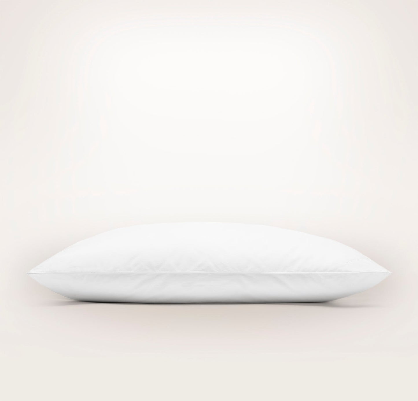 Pillow Insert